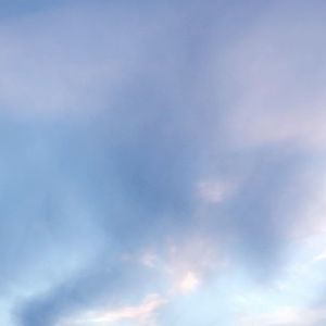 Meet your Posher, Sandy